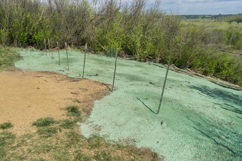 Hydroseeding for Soil Stabilization
